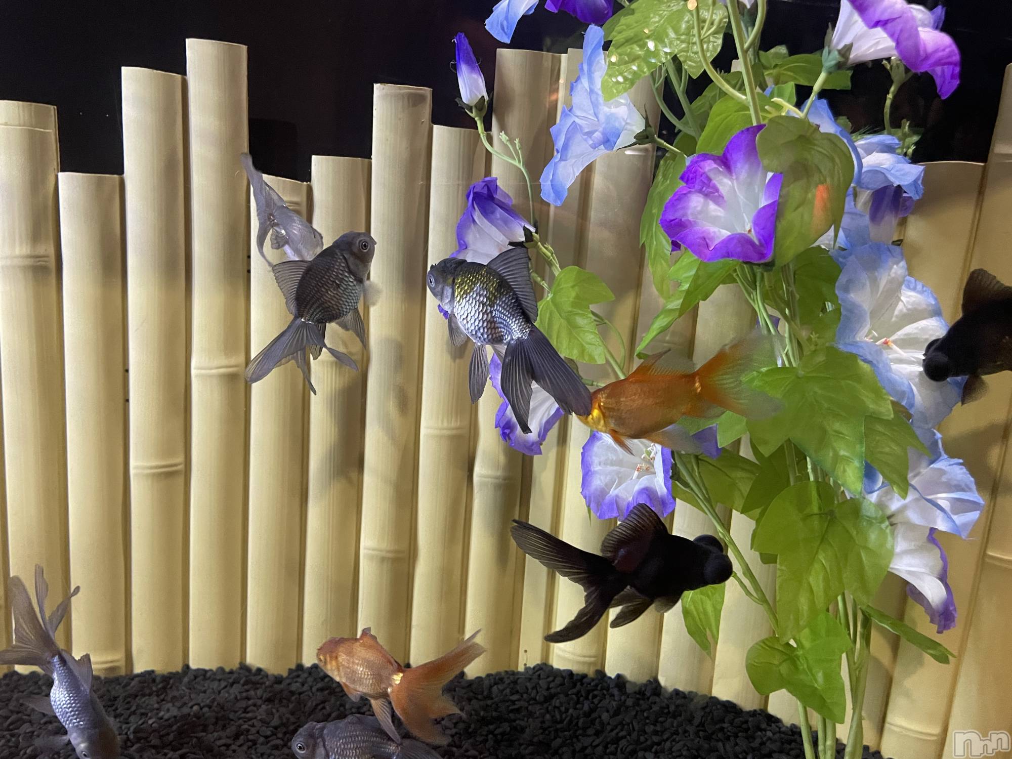 ���ᥭ��Х��顦�����Club Focus(����֡��ե�������) ��2023ǯ9��21���̥�֥�����🪸🧊🫧��