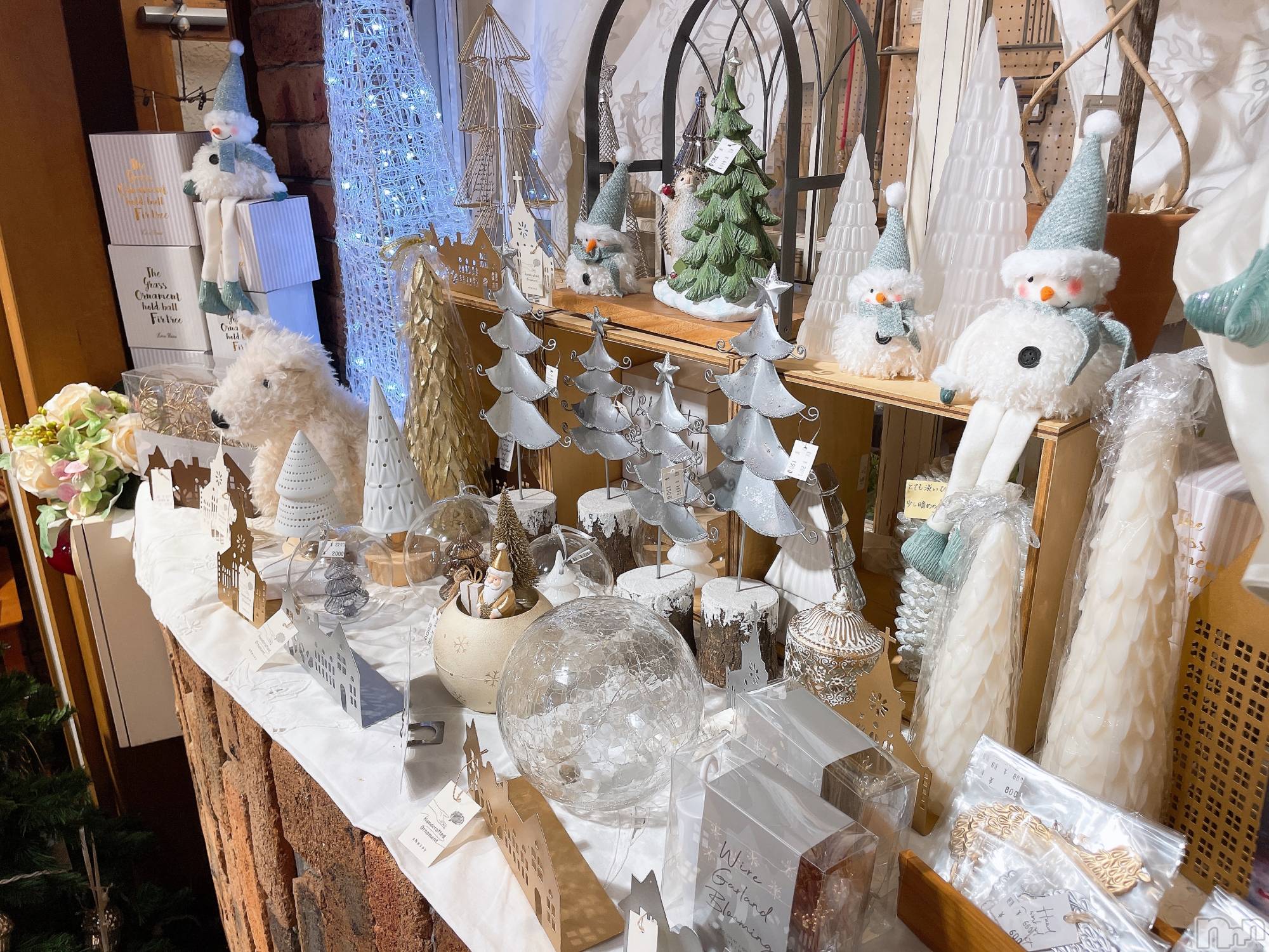 ���ᥭ��Х��顦�����Club Focus(����֡��ե�������) ��2023ǯ11��10���̥�֥�����🎄☃️❄️��