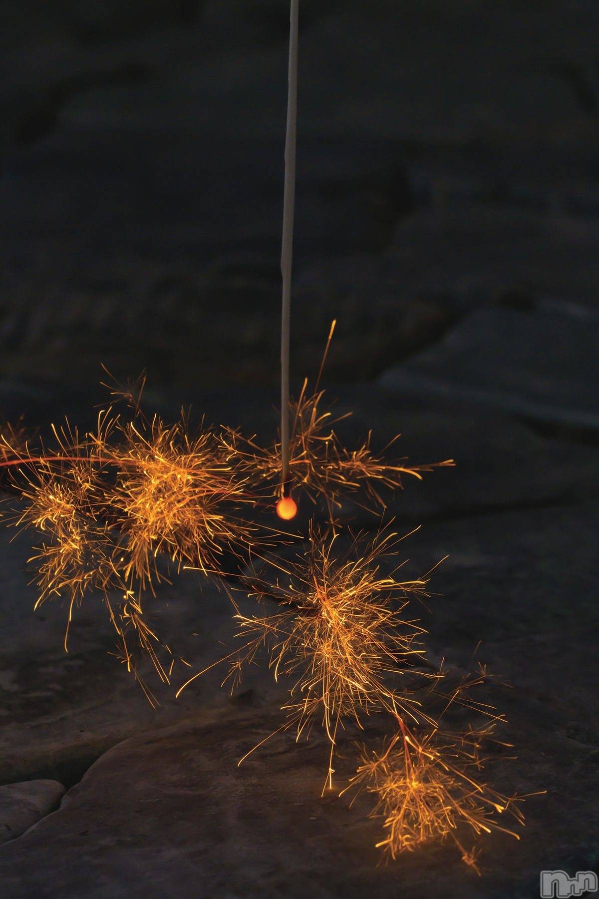 ���ᥭ��Х��顦�����Club Focus(����֡��ե�������) ��2024ǯ8��17���̥�֥�����🌟🌟🌟��