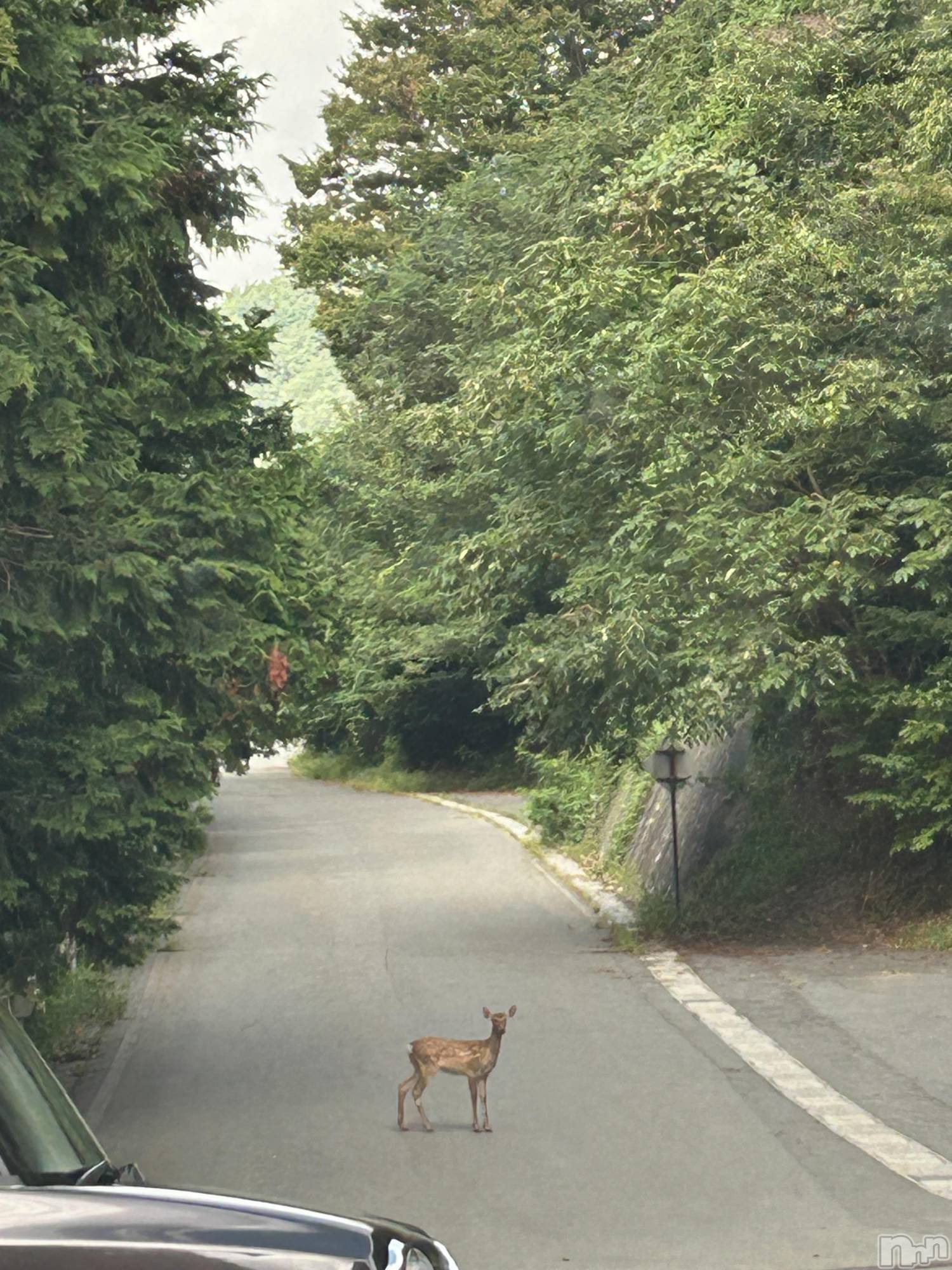 ���ᥭ��Х��顦�����Club Focus(����֡��ե�������) ��2024ǯ9��7���̥�֥�����🦌🦌🦌��