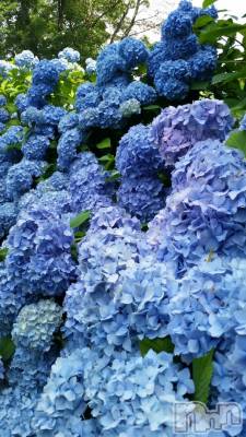 ���ᥭ��Х��顦�����Club Focus(����֡��ե�������) ��������7��1���̥�֥�����☔️��