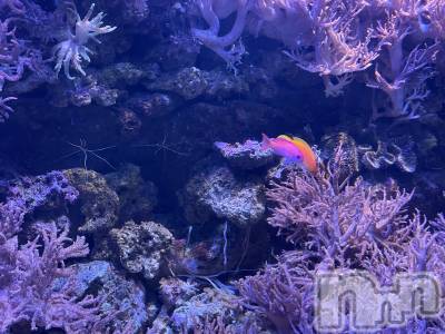 ���ᥭ��Х��顦�����Club Focus(����֡��ե�������) ��������7��14���̥�֥�����🪼��