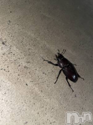 ���ᥭ��Х��顦�����Club Focus(����֡��ե�������) ��������8��2���̥�֥�����🔥☀️��