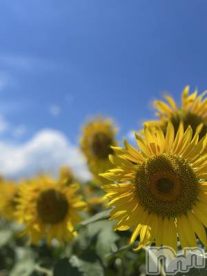 ���ᥭ��Х��顦�����Club Focus(����֡��ե�������) ��������8��4���̥�֥�����🌼🌼🌼��