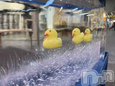 ���ᥭ��Х��顦�����Club Focus(����֡��ե�������) ��������9��7���̥�֥�����🐥🐥🐥��