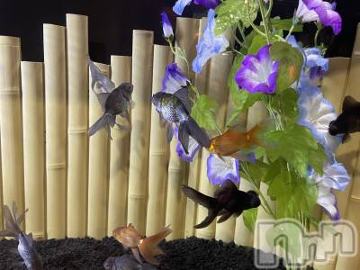 ���ᥭ��Х��顦�����Club Focus(����֡��ե�������) ��������9��21���̥�֥�����🪸🧊🫧��