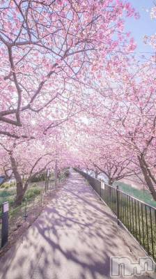 ���ᥭ��Х��顦�����Club Focus(����֡��ե�������) ��������4��4���̥�֥�����🌸🌸🌸��