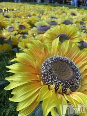 ���ᥭ��Х��顦�����Club Focus(����֡��ե�������) ��������7��23���̥�֥�����🌻🌻🌻��