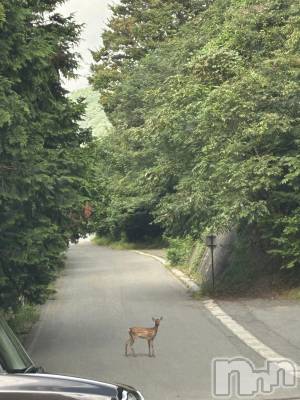 ���ᥭ��Х��顦�����Club Focus(����֡��ե�������) ��������9��7���̥�֥�����🦌🦌🦌��