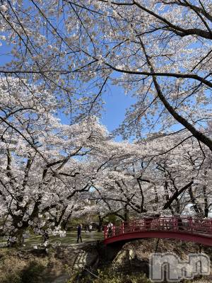 ���ᥭ��Х��顦�����Club Focus(����֡��ե�������) ��������4��16���̥�֥�����🌸🌸🌸��