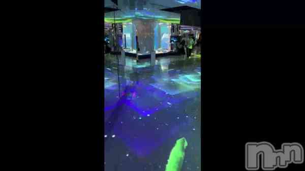 ��🐳💙��