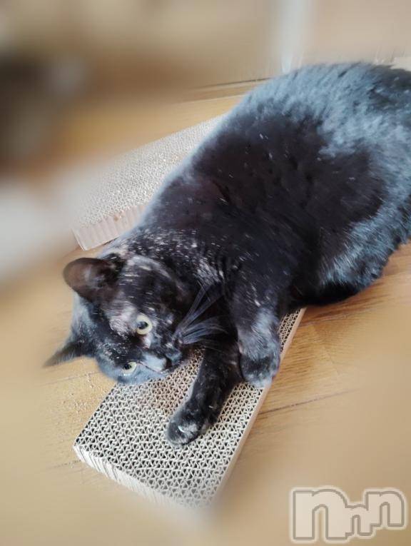 新潟デリヘルOffice Amour(オフィスアムール)よもぎ/ヘルス課(23)の2026年1月23日写メブログ「理性、消失」