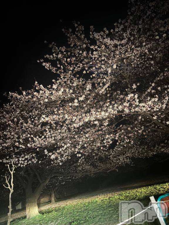 新潟デリヘルOffice Amour(オフィスアムール)よもぎ/ヘルス課(23)の2026年4月8日写メブログ「花より団子より私でしょ」