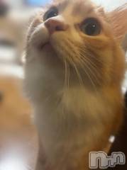 新潟デリヘルOffice Amour(オフィスアムール) よもぎ/ヘルス課(23)の1月6日写メブログ「[お題]from:ナポレオンさん」