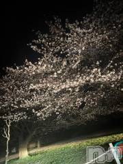 新潟デリヘルOffice Amour(オフィスアムール) よもぎ/ヘルス課(23)の4月8日写メブログ「花より団子より私でしょ」