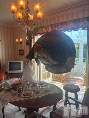 新潟デリヘル Office Amour(オフィスアムール) よもぎ/ヘルス課(23)の10月10日写メブログ「しらんけど」