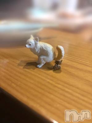 新潟デリヘル Office Amour(オフィスアムール) よもぎ/ヘルス課(23)の12月18日写メブログ「ふんばり～ぬ」