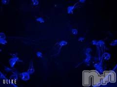 新潟デリヘル奥様特急 新潟店(オクサマトッキュウニイガタテン) ろっか(23)の5月17日写メブログ「🪼」