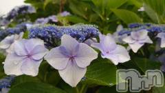 上越デリヘルらぶ妻　～新潟の人妻が集う店～(ラブツマ) 石野さとみ★淫ら(47)の7月10日写メブログ「長年変わらず」