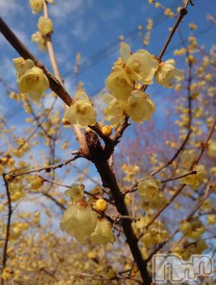 上越デリヘル らぶ妻　～新潟の人妻が集う店～(ラブツマ) 石野さとみ★淫ら(47)の2月18日写メブログ「去年の今日」
