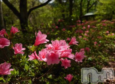 上越デリヘル らぶ妻　～新潟の人妻が集う店～(ラブツマ) 石野さとみ★淫ら(47)の4月29日写メブログ「連休」