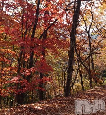 上越デリヘル らぶ妻　～新潟の人妻が集う店～(ラブツマ) 石野さとみ★淫ら(47)の10月28日写メブログ「秋」