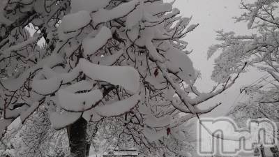 上越デリヘル らぶ妻　～新潟の人妻が集う店～(ラブツマ) 石野さとみ★淫ら(47)の1月5日写メブログ「正月終了」