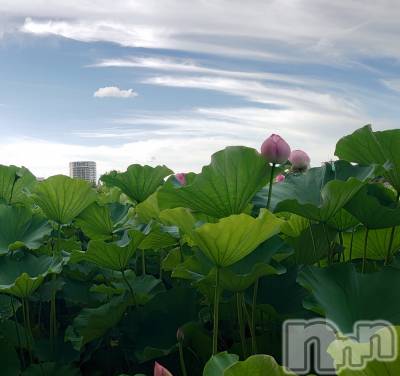 上越デリヘル らぶ妻　～新潟の人妻が集う店～(ラブツマ) 石野さとみ★淫ら(47)の7月30日写メブログ「厳しい夏」