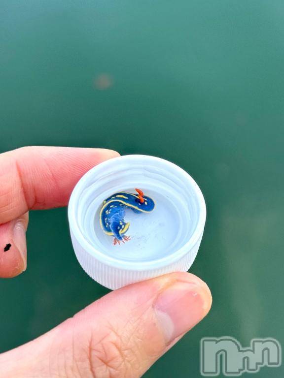 長岡デリヘルBIANCA～主人の知らない私～長岡店(ビアンカナガオカテン) 凪沢　みづき(34)の6月25日写メブログ「海行きたい🌊」