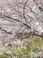 長岡デリヘルBIANCA～主人の知らない私～長岡店(ビアンカナガオカテン) 凪沢　みづき(34)の4月12日写メブログ「晴れ🌞？」