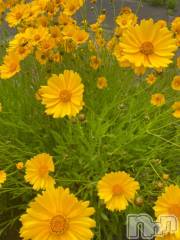 長岡デリヘルBIANCA～主人の知らない私～長岡店(ビアンカナガオカテン) 凪沢　みづき(34)の6月11日写メブログ「4日のお礼💕」