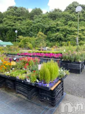 長岡デリヘル BIANCA～主人の知らない私～長岡店(ビアンカナガオカテン) 凪沢　みづき(34)の6月28日写メブログ「明日出勤です❣️」