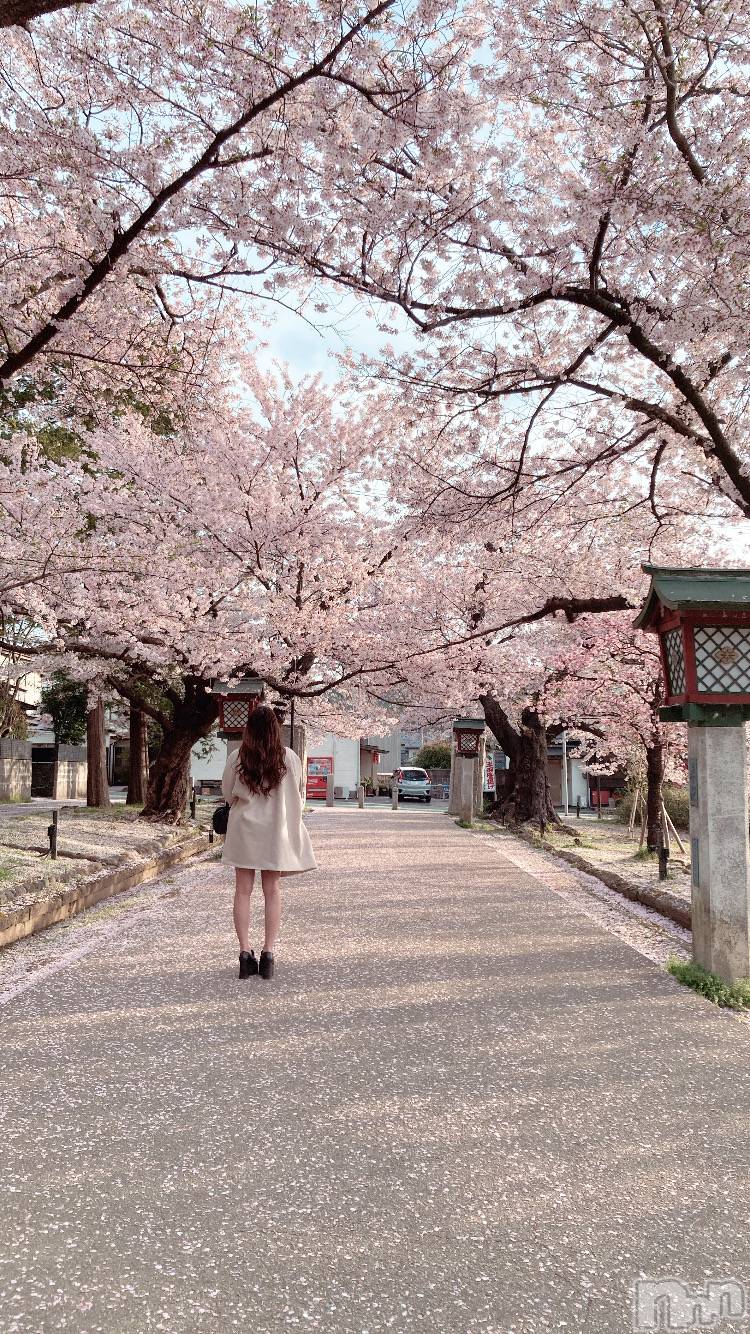 ʥå륺С륺åޤʤߤ(륺åޥʥߥ) 2024ǯ416̥֥֤äȹԤ♡🌸