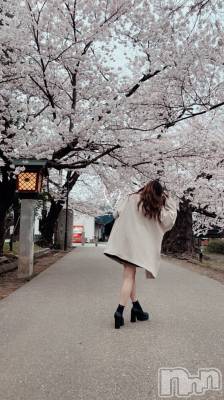 ʥå륺С륺åޤʤߤ(륺åޥʥߥ) ߤ盧(18)413ֽ̥֥ж~🌸