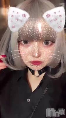 ָ꿧ʤΤ衼🎐