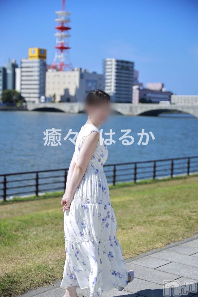 新潟風俗エステLa Muse(ラミューズ) はるか(30)の9月11日写メブログ「溶ける」
