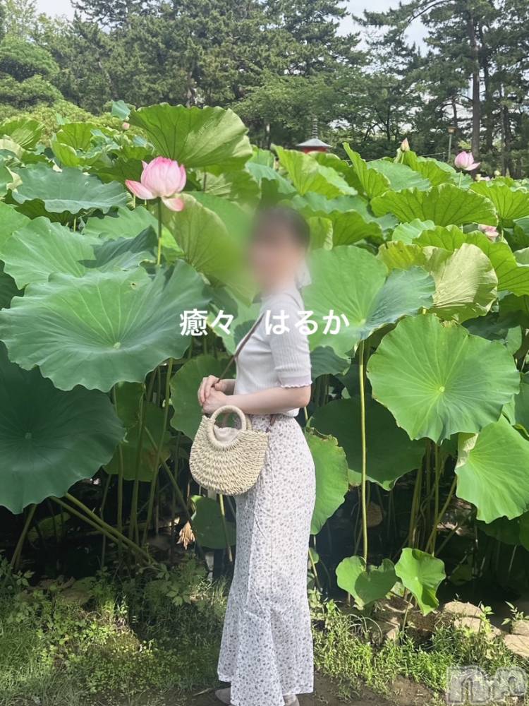 新潟風俗エステLa Muse(ラミューズ) はるか(30)の9月19日写メブログ「かけちゃう」