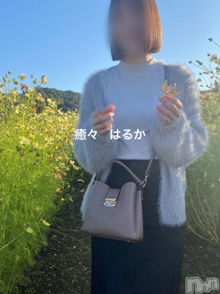 新潟風俗エステLa Muse(ラミューズ) はるか(30)の11月24日写メブログ「私の気持ち」