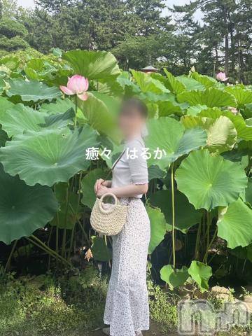 新潟風俗エステLa Muse(ラミューズ) はるか(30)の7月16日写メブログ「自然が好きー！」