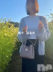 新潟風俗エステLa Muse(ラミューズ) はるか(30)の12月18日写メブログ「食べちゃいたい」