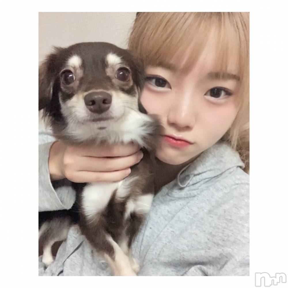 Х顦club eterhasa(֥) ޤ821̥֥֤Ƥ🐶︎♡