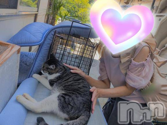 三条ぽっちゃり新潟三条燕ちゃんこ(ニイガタサンジョウツバメチャンコ) しおり(44)の7月26日写メブログ「ニャンズ」