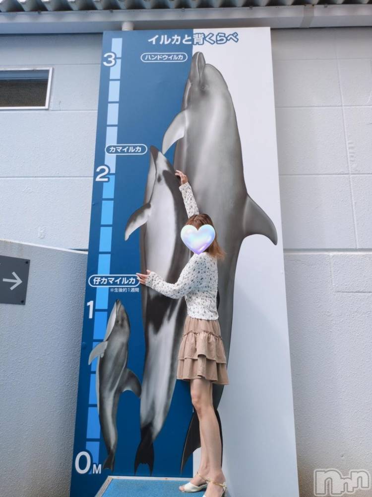 三条デリヘル新潟三条燕ちゃんこ(ニイガタサンジョウツバメチャンコ) しおり(44)の9月16日写メブログ「16日(火)出勤します」