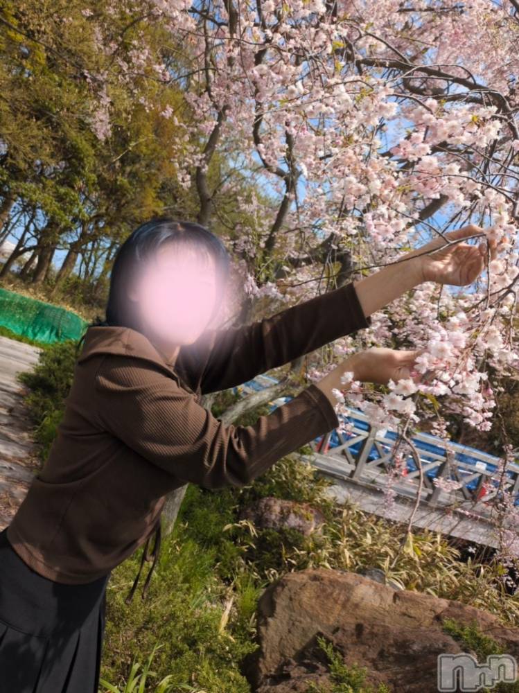 三条デリヘル新潟三条燕ちゃんこ(ニイガタサンジョウツバメチャンコ) しおり(44)の4月20日写メブログ「フローレス8号室のお客様へ」