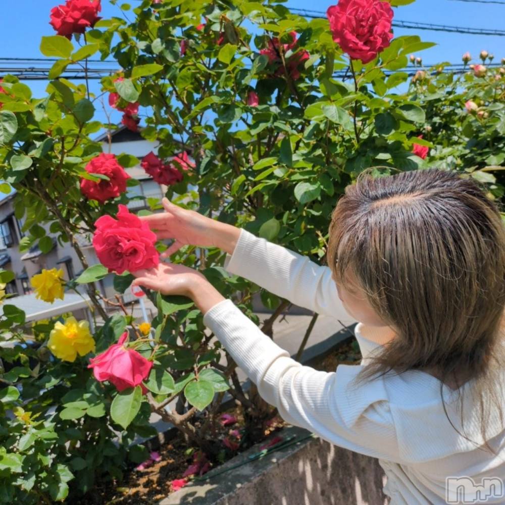 三条デリヘル新潟三条燕ちゃんこ(ニイガタサンジョウツバメチャンコ) しおり(44)の5月24日写メブログ「K-1、506号室のお客様へ」