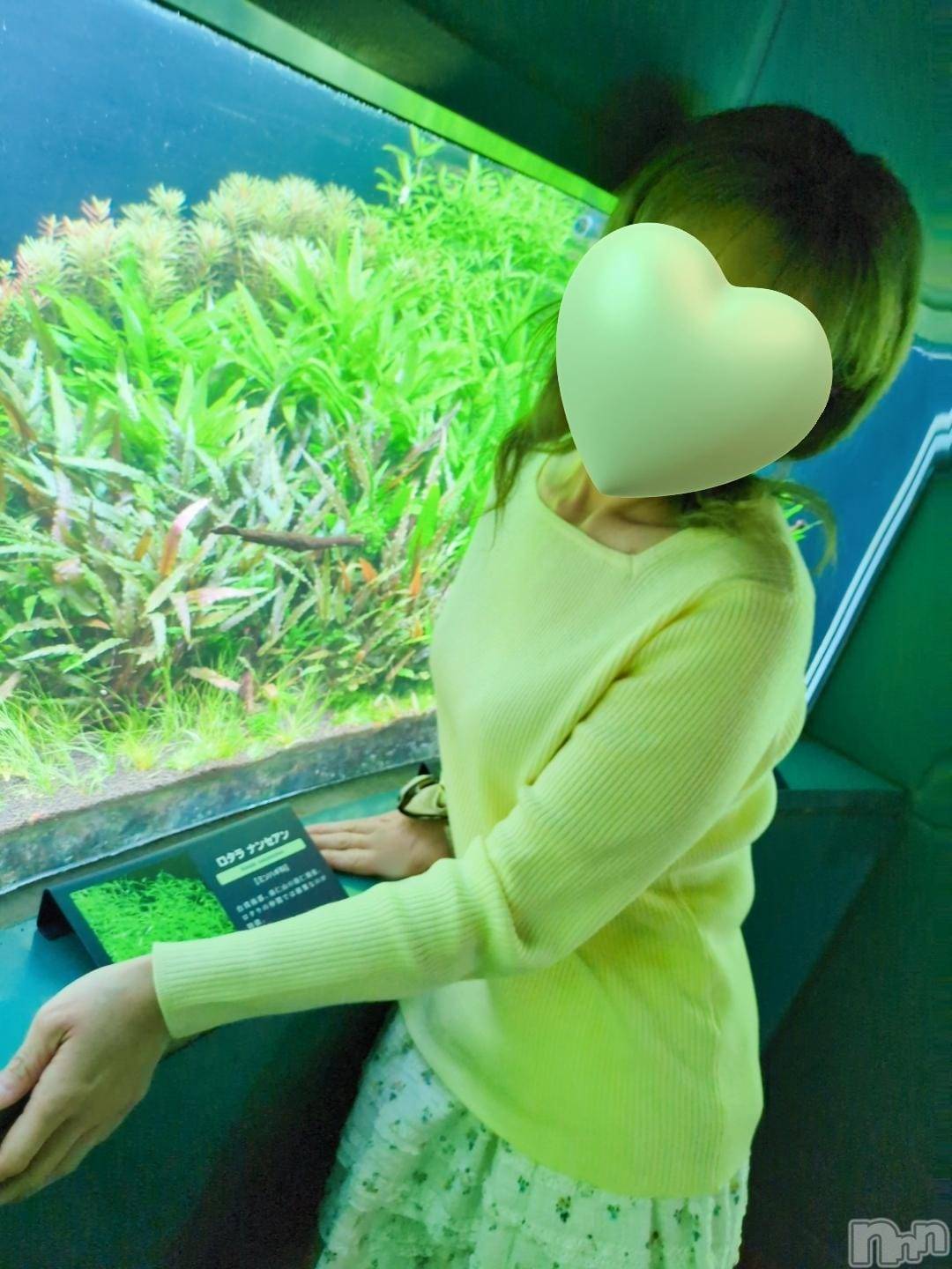 三条デリヘル新潟三条燕ちゃんこ(ニイガタサンジョウツバメチャンコ)しおり(44)の2026年3月19日写メブログ「19日(木)出勤します」