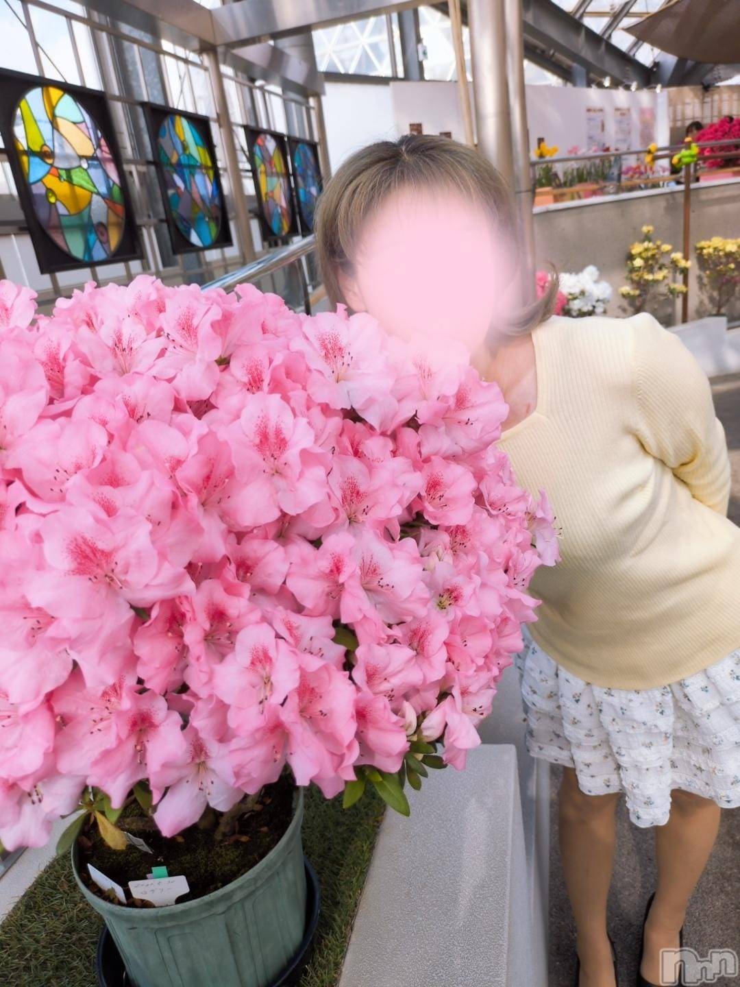 三条デリヘル新潟三条燕ちゃんこ(ニイガタサンジョウツバメチャンコ)しおり(44)の2026年3月21日写メブログ「21日(土)出勤します」