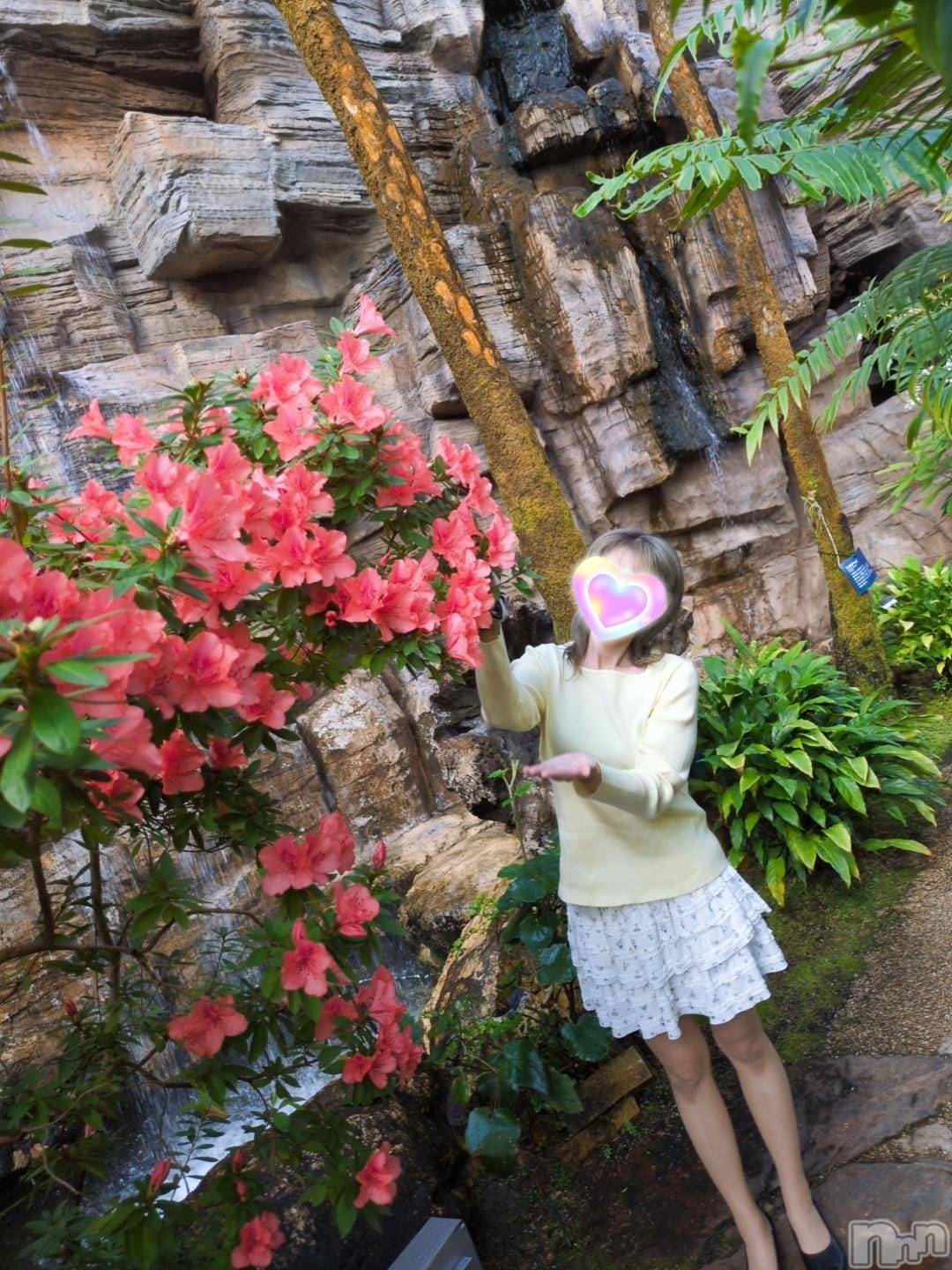 三条デリヘル新潟三条燕ちゃんこ(ニイガタサンジョウツバメチャンコ)しおり(44)の2026年3月31日写メブログ「フローレス特別室のお客様へ」