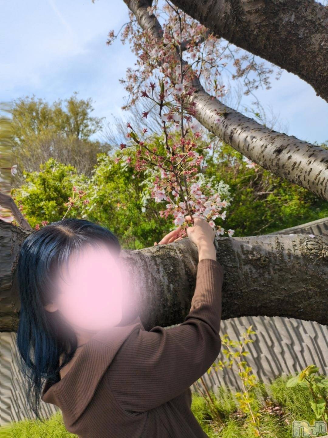 三条デリヘル新潟三条燕ちゃんこ(ニイガタサンジョウツバメチャンコ)しおり(44)の2026年4月17日写メブログ「AQA、516号室のお客様へ」