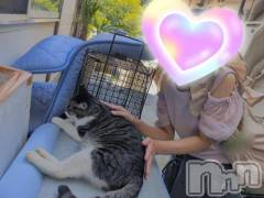 三条デリヘル新潟三条燕ちゃんこ(ニイガタサンジョウツバメチャンコ) しおり(44)の7月26日写メブログ「ニャンズ」